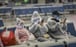 A family wearing masks and makeshift protection gear wait for their train at the Hongqiao high-speed railway station in Shanghai on February 11. More than 75,000 cases of coronavirus infection have so far been reported with over 2,000 deaths. Photo: Bloomberg