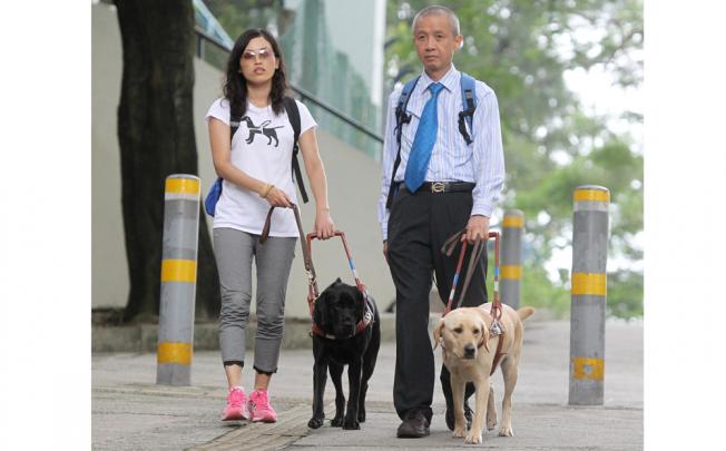 Visually impaired Inti Fu Tai-fun and Tsang Kin-ping with their guide dogs Nana and Deanna walking on a street in Shek Kip Mei. Photo: K.Y. Cheng