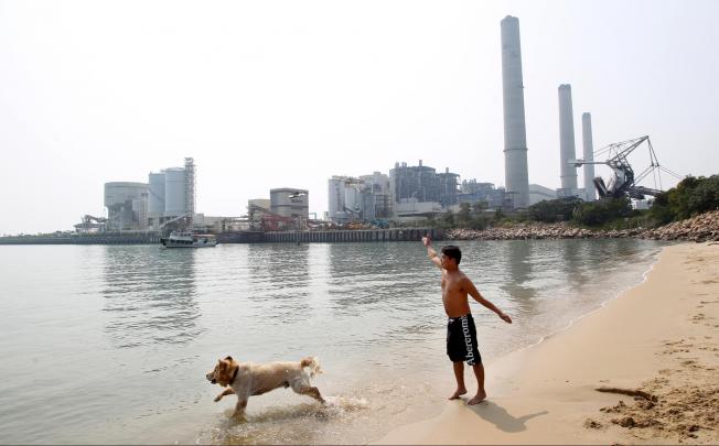 On Power Station Beach, dogs need not be leashed. Photo: Dickson Lee