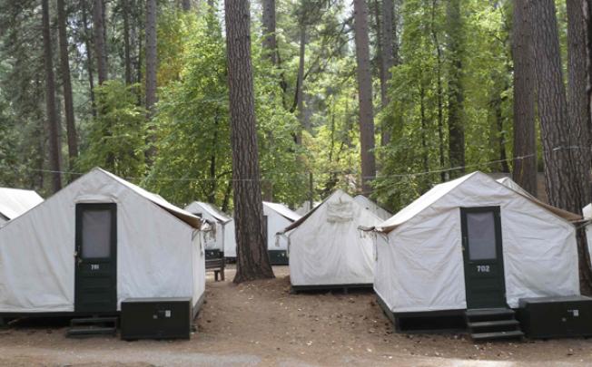 Tents in the Curry Village section of Yosemite National Park in California. Photo: Reuters