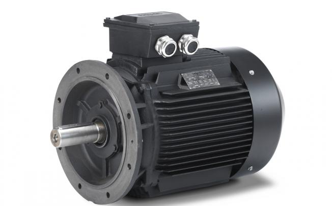 Hoyer IE2 motor in cast iron with B5 flange.