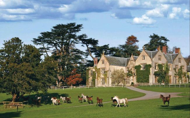 Arabian horses roam the grounds of Combe House in southwest England.