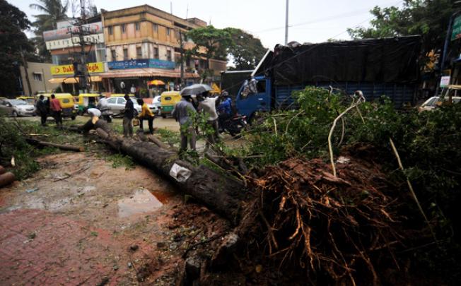 Workers try to remove a tree that was uprooted by Cyclone Nilam. Photo: EPA