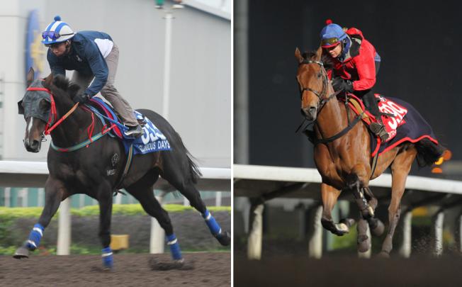 Glorious Days and his main rival Ambitious Dragon strut their stuff front of a big trackwork crowd at Sha Tin yesterday. They both look in mint condition for the Hong Kong Mile. Photos: Kenneth Chan