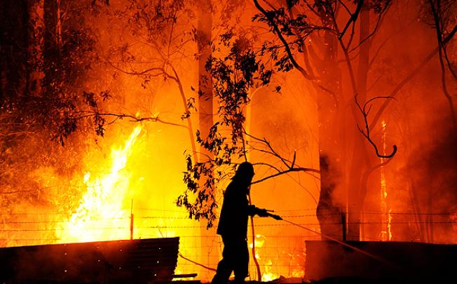 A fire fighter is almost surrounded by red hot flames as he protects a property threatened by the Dean's Gully fire, New South Wales, on Tuesday. Photo: EPA