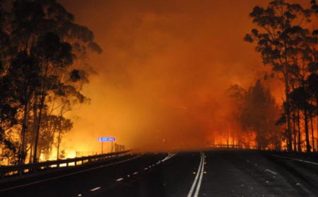 A wildfire near Deans Gap, Australia, crosses the Princes Highway in New South Wales. Photo: AP 