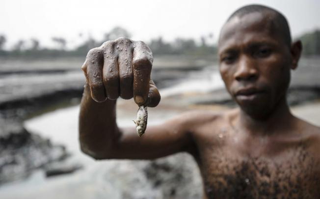 A fisherman shows his meagre catch from a Nigerian creek. Photo: EPA