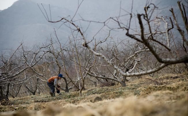 Food is still an issue for a huge number of villagers in rural China. Photo: Bloomberg