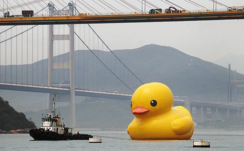 Everything going swimmingly. Photo: SCMP Pictures
