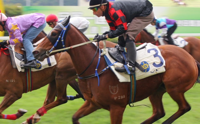 MY FAVORITE ridden by Gerald Mosse trial in batch 5 over 1200Metres (Turf) at Happy Valley on 04May13. Photo: Kenneth Chan