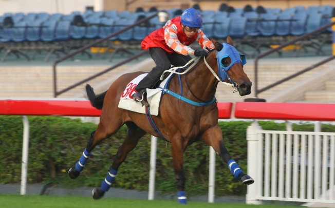 BORN TO WIN ridden by Vincent Ho Chak-yiu at Sha Tin. Photo: Kenneth Chan