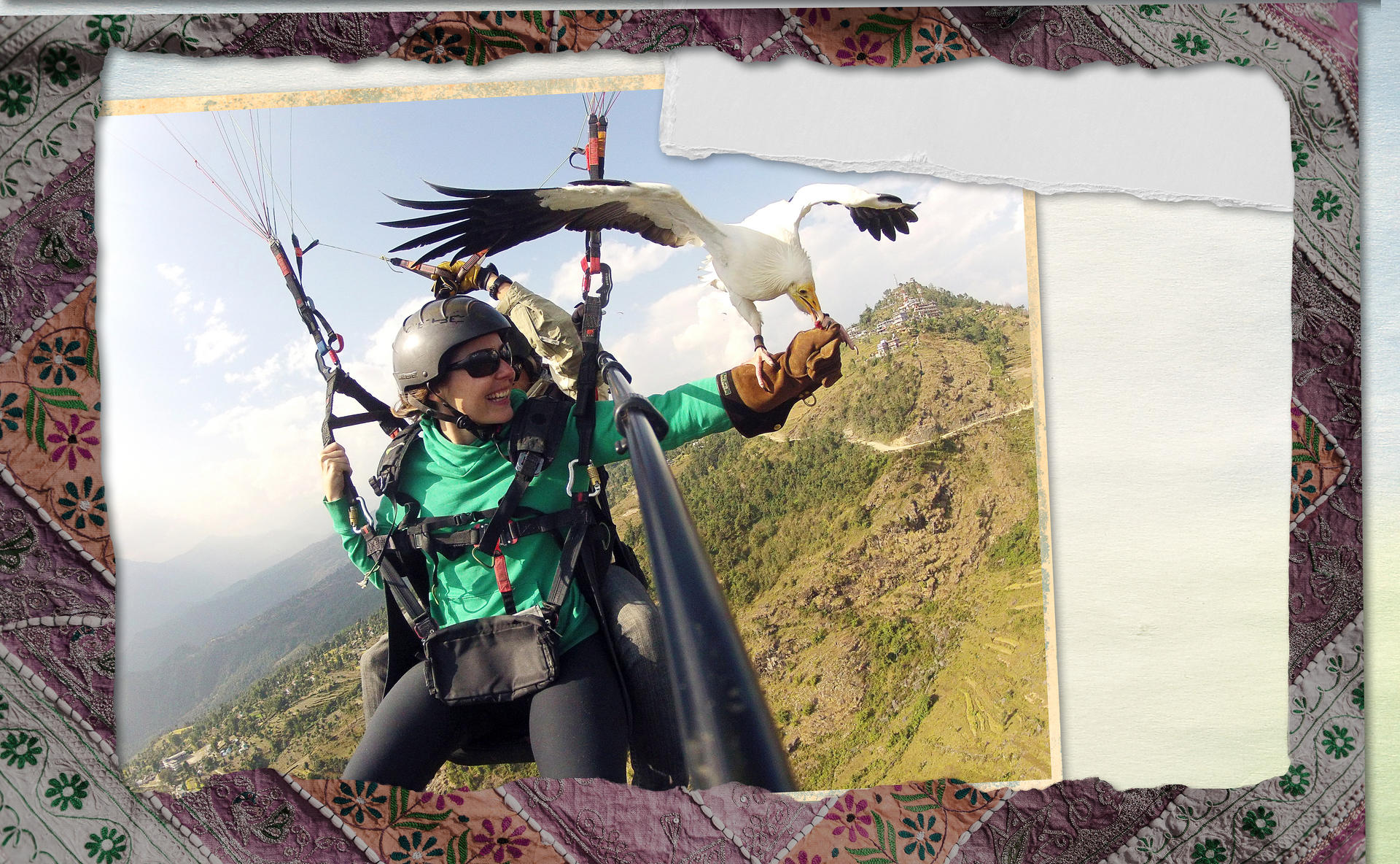 A vulture named Kevin takes a snack from the author's hand as she paraglides in Nepal. Photo: Parahawking/Phillippa Stewart