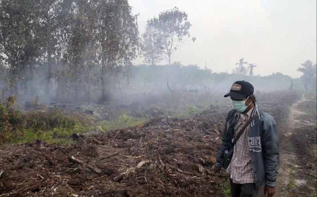 A man walks past a bushfire in Labersa, Riau province, Indonesia. Photo: AP