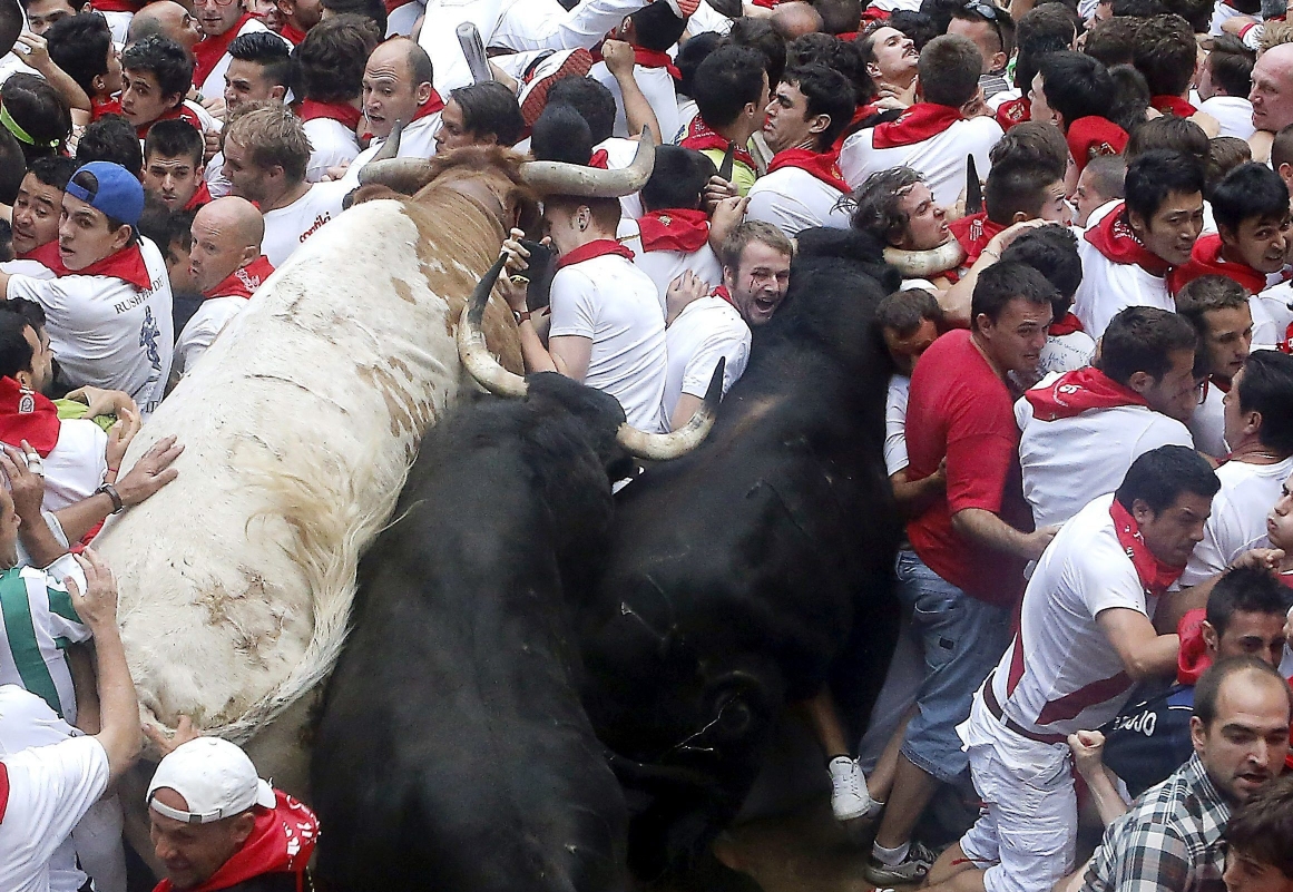 Bulls from Fuente Ymbro ranch and the runners or 'Mozos' get blocked at the entrance of the bull ring of Pamplona during the seventh bullrun of Sanfermines 2013 Festival, in Pamplona, Spain, on Saturday. Photo: EPA