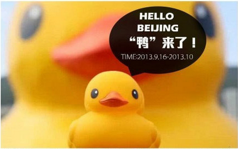 The announcement of the duck's arrival. Screenshot from Sina Weibo.
