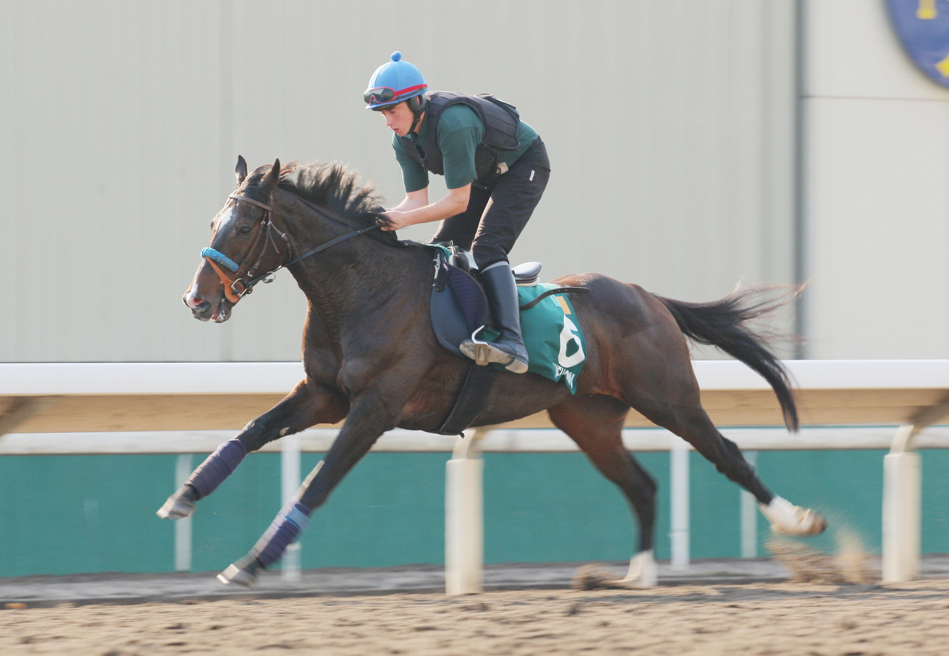 Hong Kong Vase contender Simenon gallops in the first of three laps he completed on the all-weather track at Sha Tin yesterday. Photo: Kenneth Chan