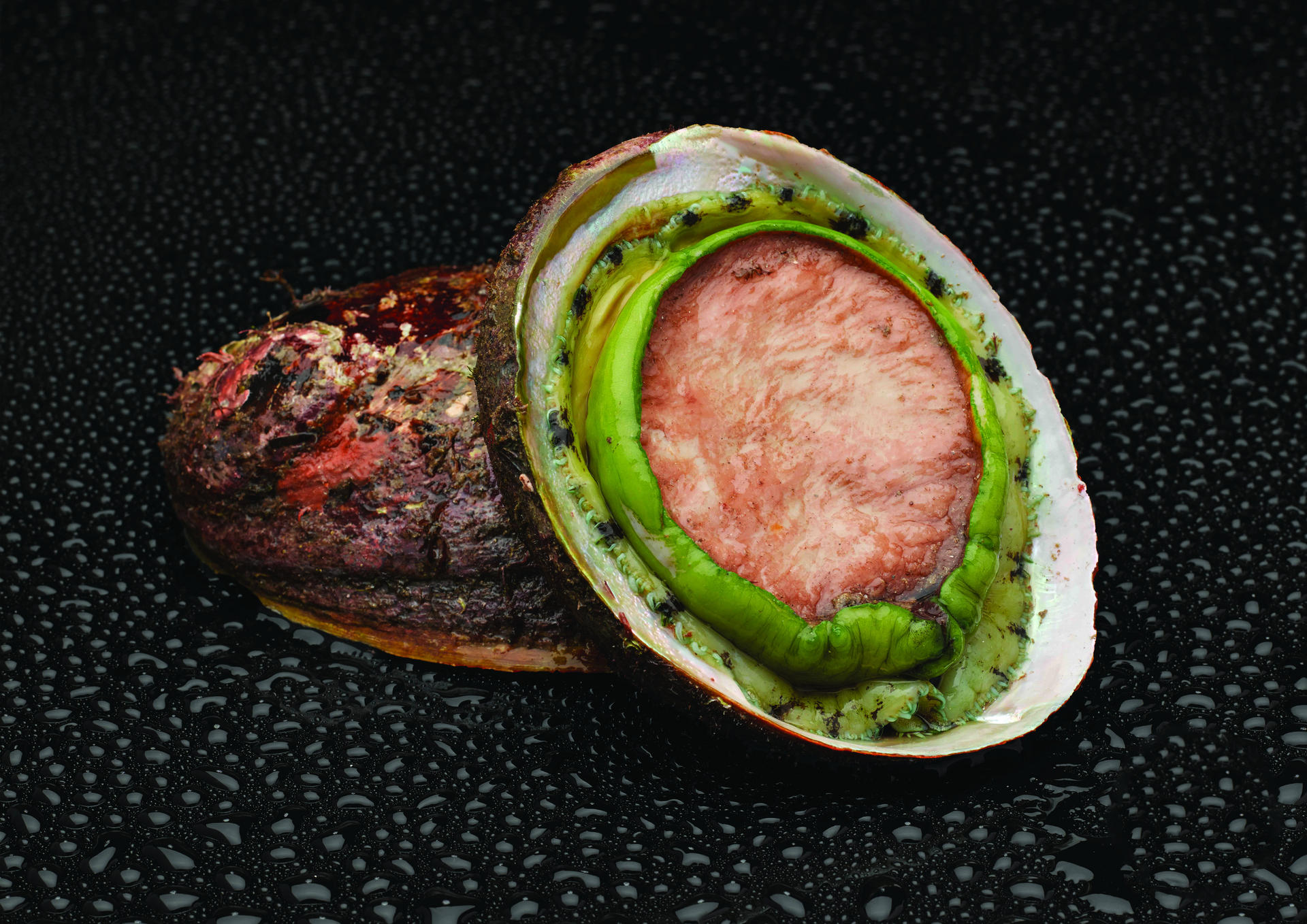 Small clusters of the more full-flavoured green lip abalone are found in northern Tasmania.
