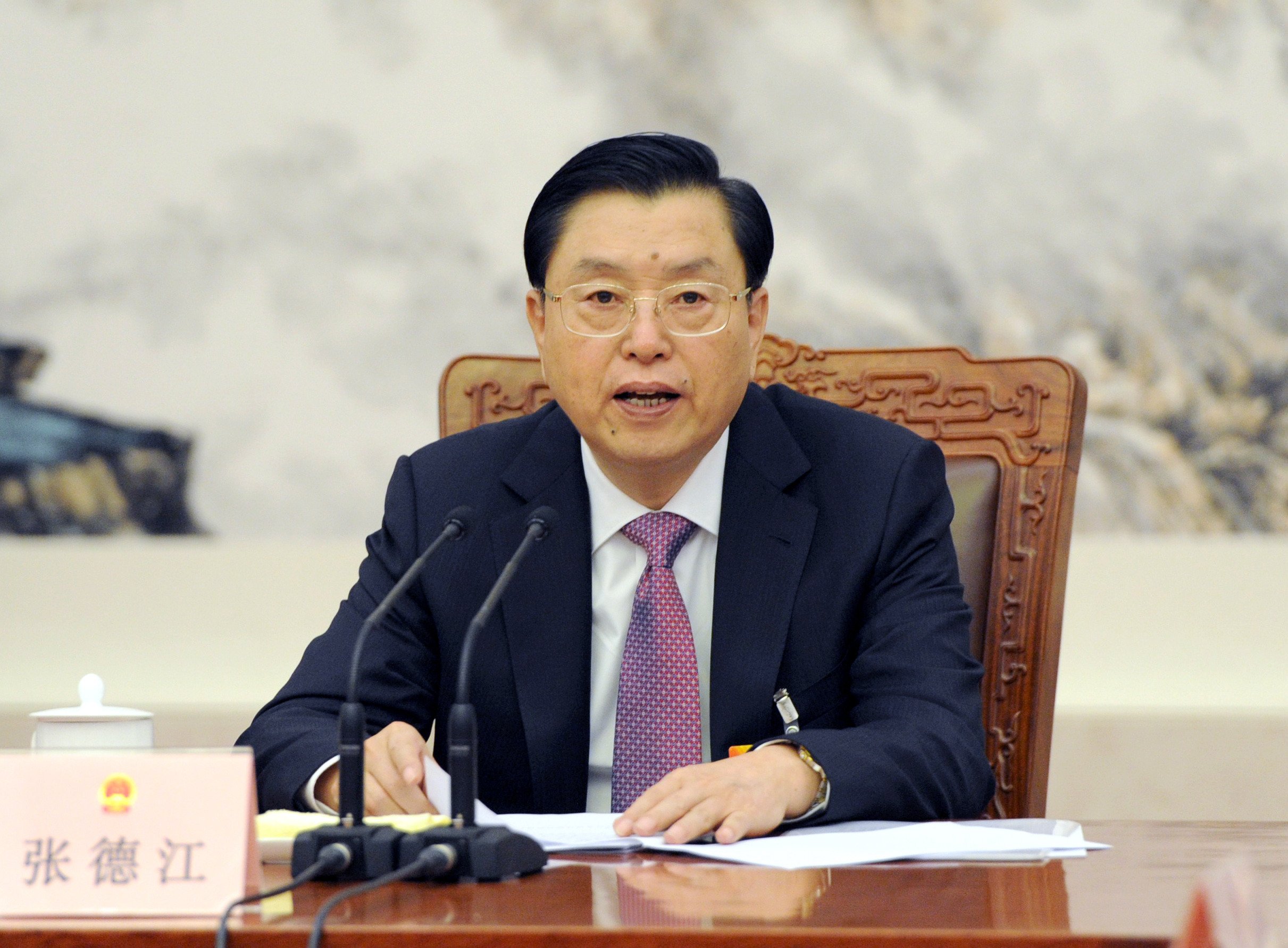 Zhang Dejiang, chairman of the National People's Congress Standing Committee. Photo: Xinhua