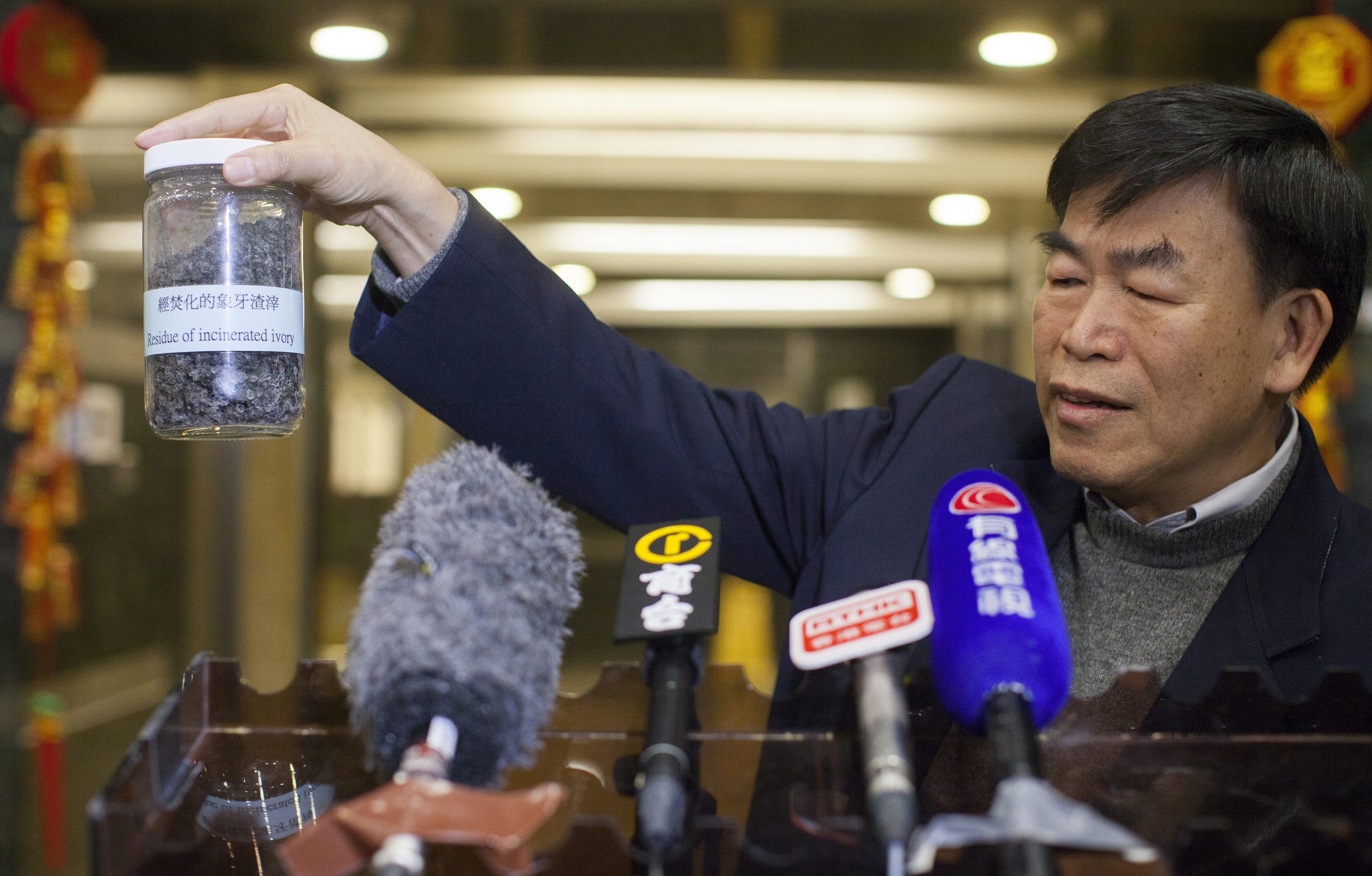 Dr Paul Shin, Chairman of the Endangered Species Advisory Committee of Hong Kong's Agriculture, Fisheries and Conservation Department, holds up a jar of incinerated ivory residue at a press conference. Photo: EPA