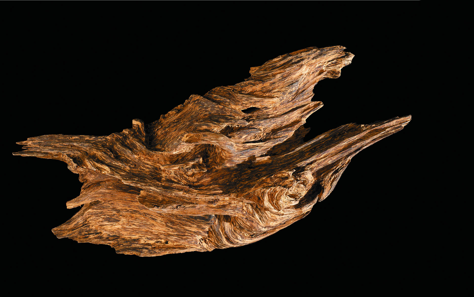 An 18cm by 41cm piece of agarwood called "Auspicious Dragon", from Indonesia, on display at Paul Kan's Imperial Museum. Photos: Antony Dickson; Nico Zurcher
