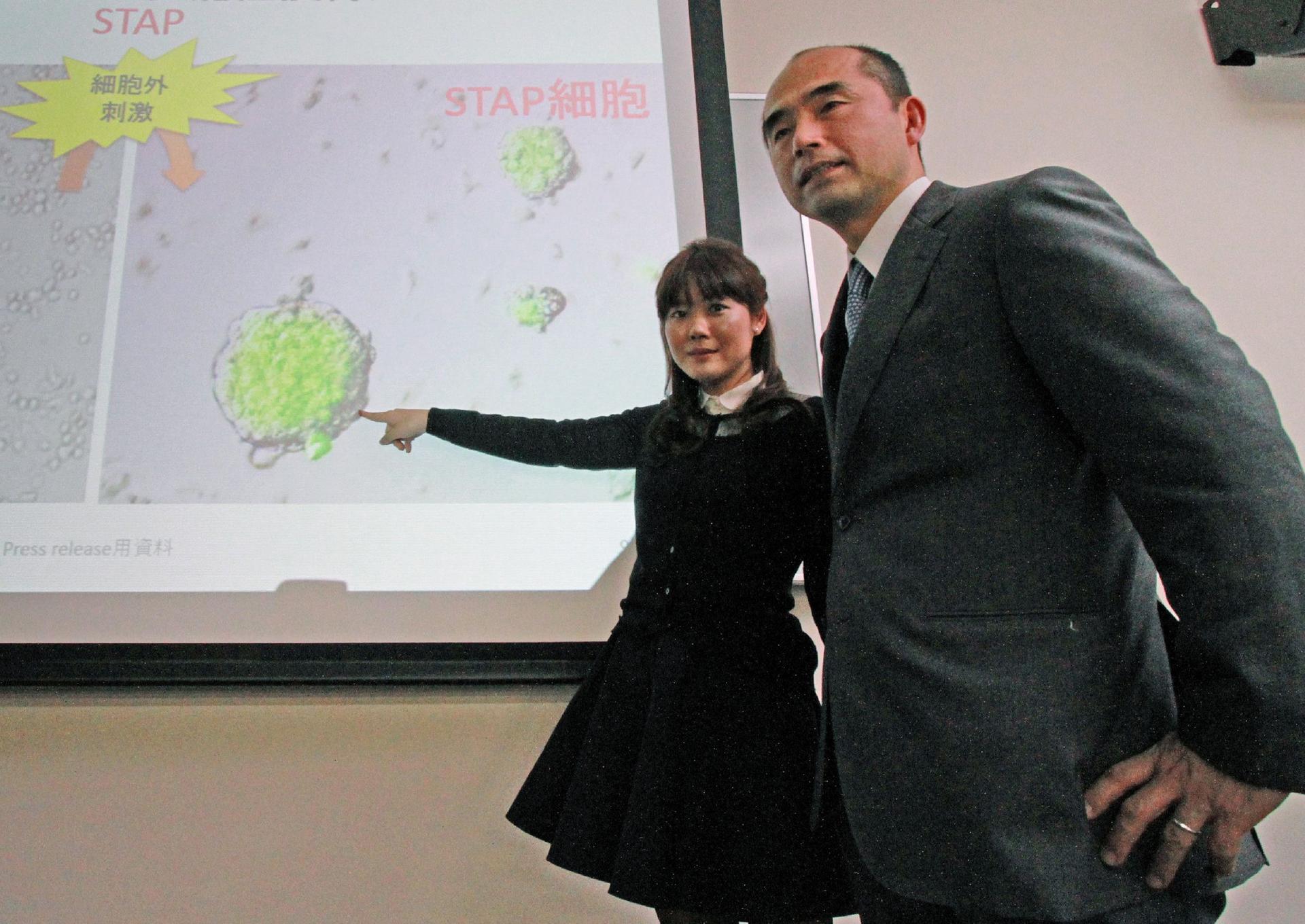 Japan laboratory says stem-cell data faked by researcher Haruko