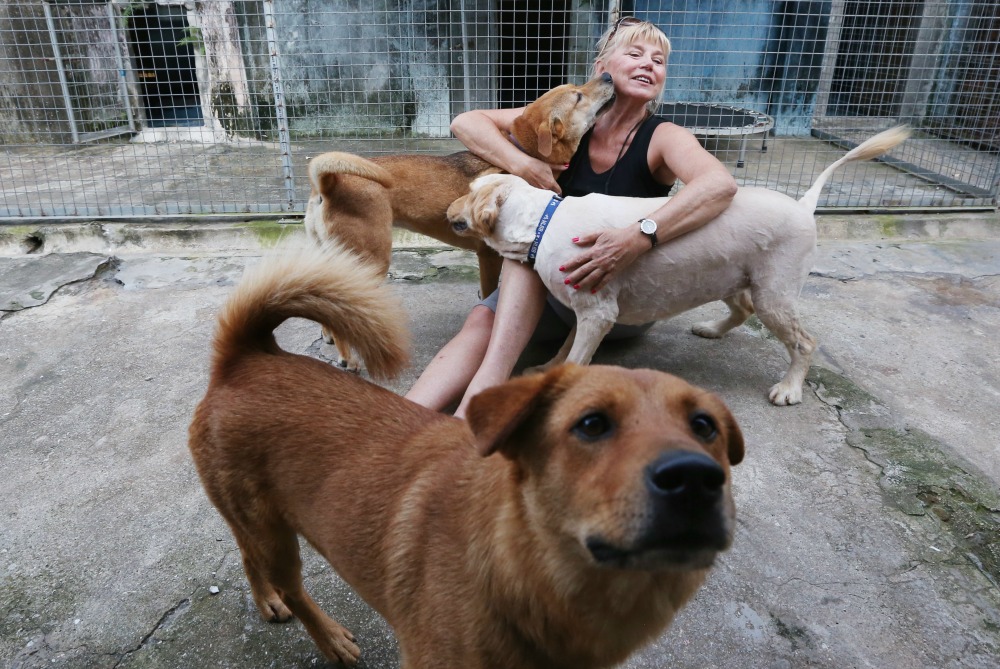 Narelle Pamuk of the Sai Kung Stray Friends shelter with some of its doggie denizens. Photo: Nora Tam