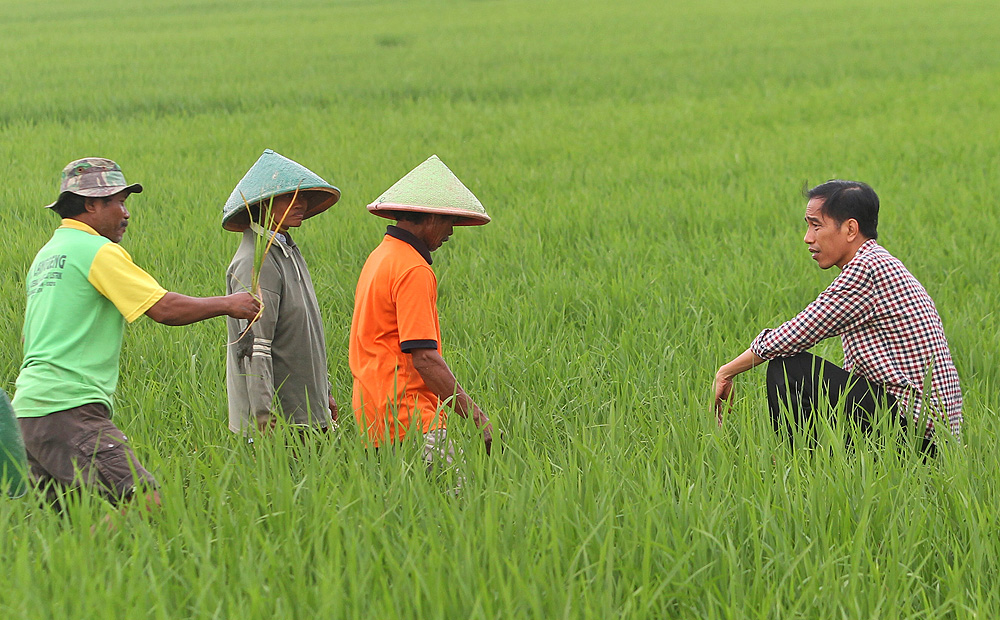 Indonesian presidential candidate Joko Widodo, known as "Jokowi," (right) talks to farmers in Central Java. Photo: AP