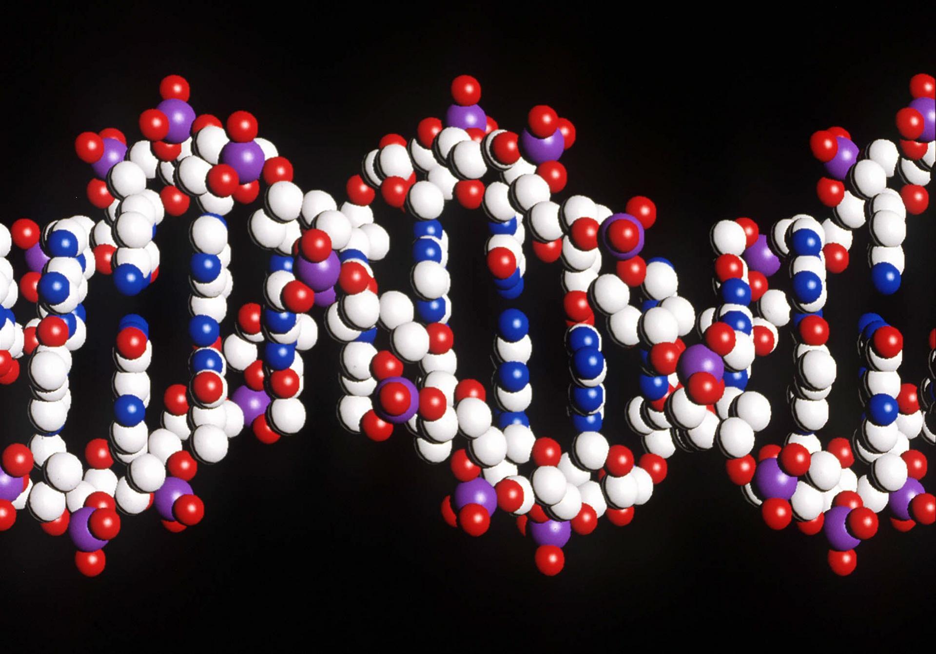 Sequencing used to vet ageing diseases