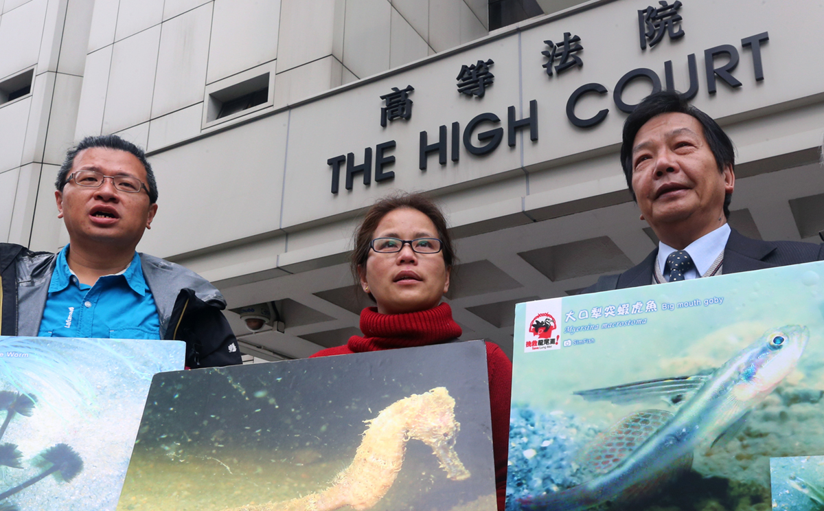 The High Court quashed the challenge filed by Ho Loy (centre) of the Save Lung Mei Alliance. Photo: David Wong