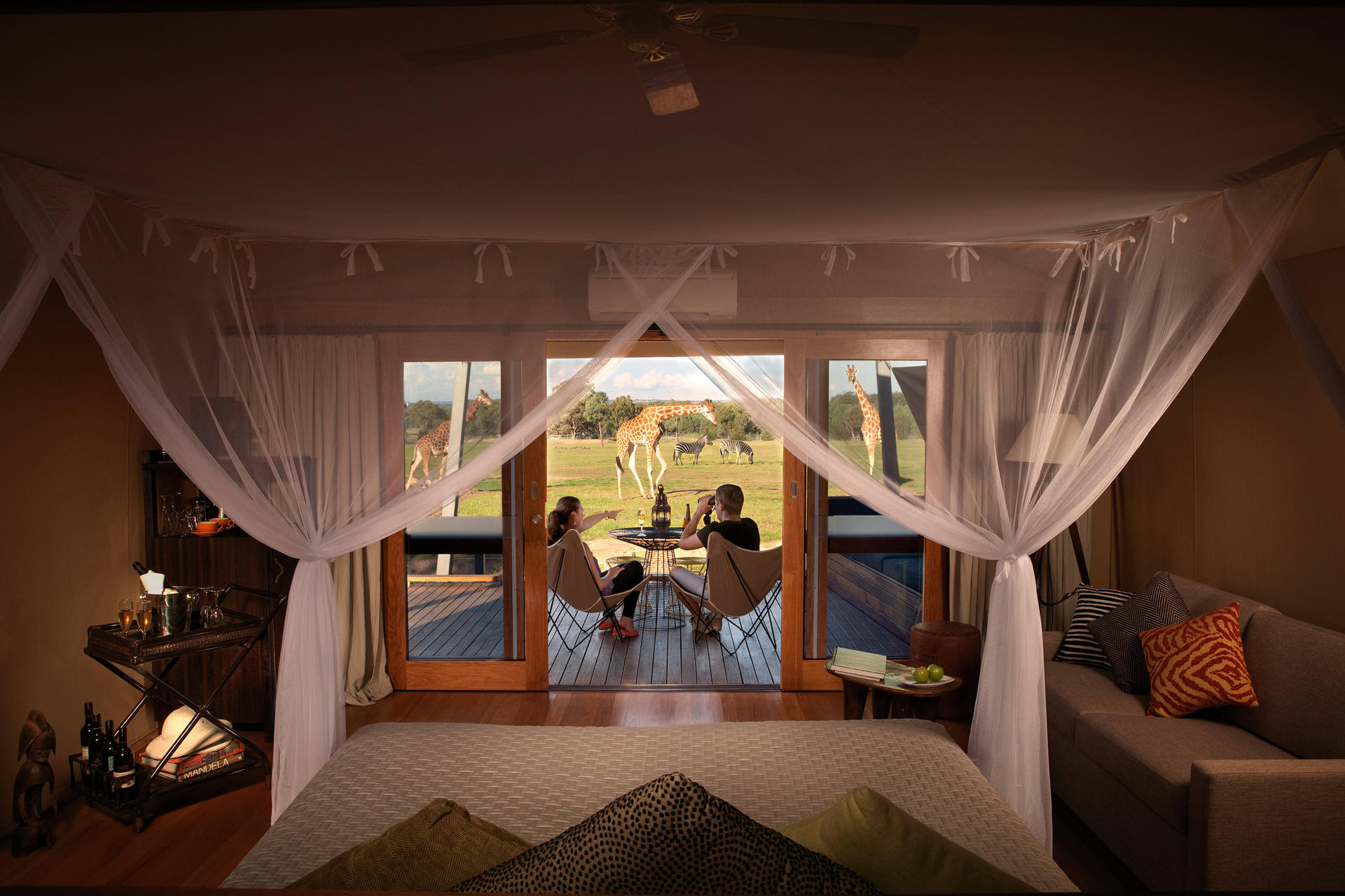 Hot spots: Zoofari Lodge, Dubbo