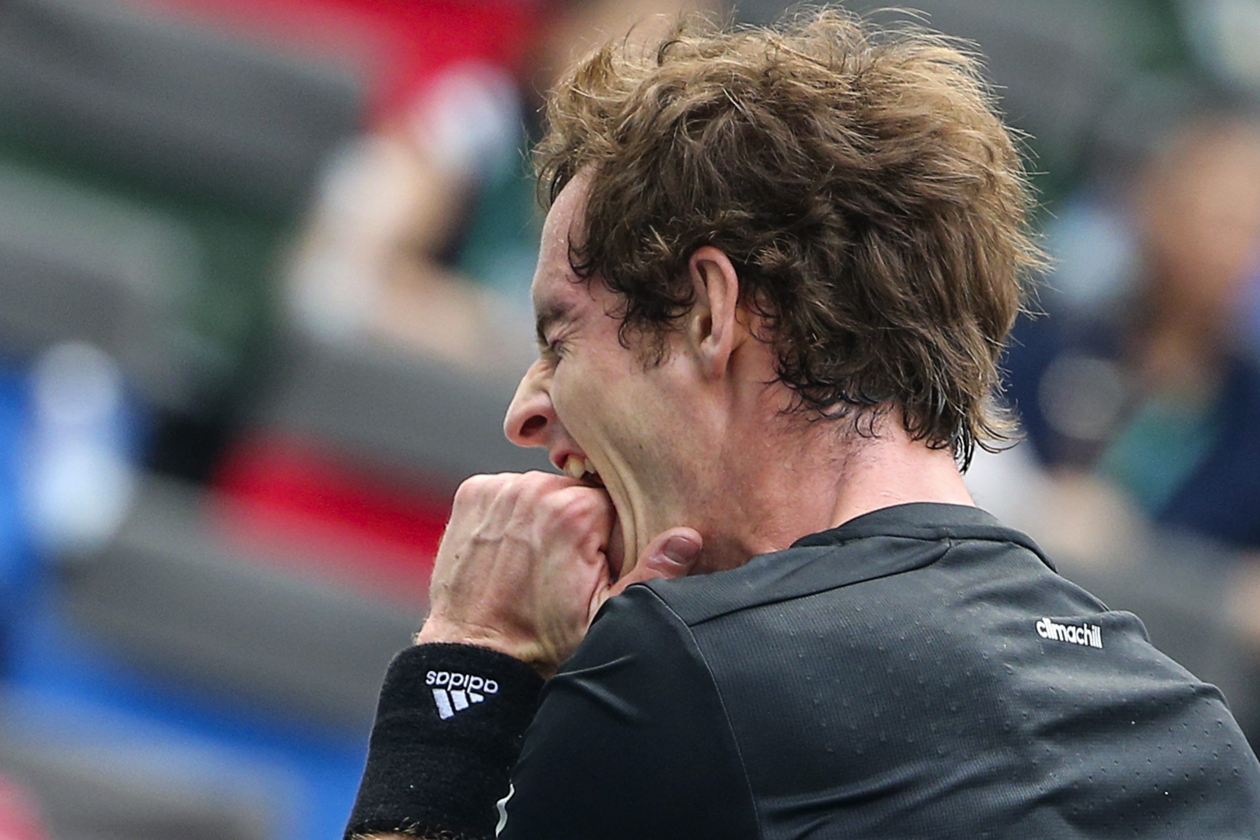 Britain's Andy Murray gets upset with himself as David Ferrer begins to reel him him. Photo: EPA