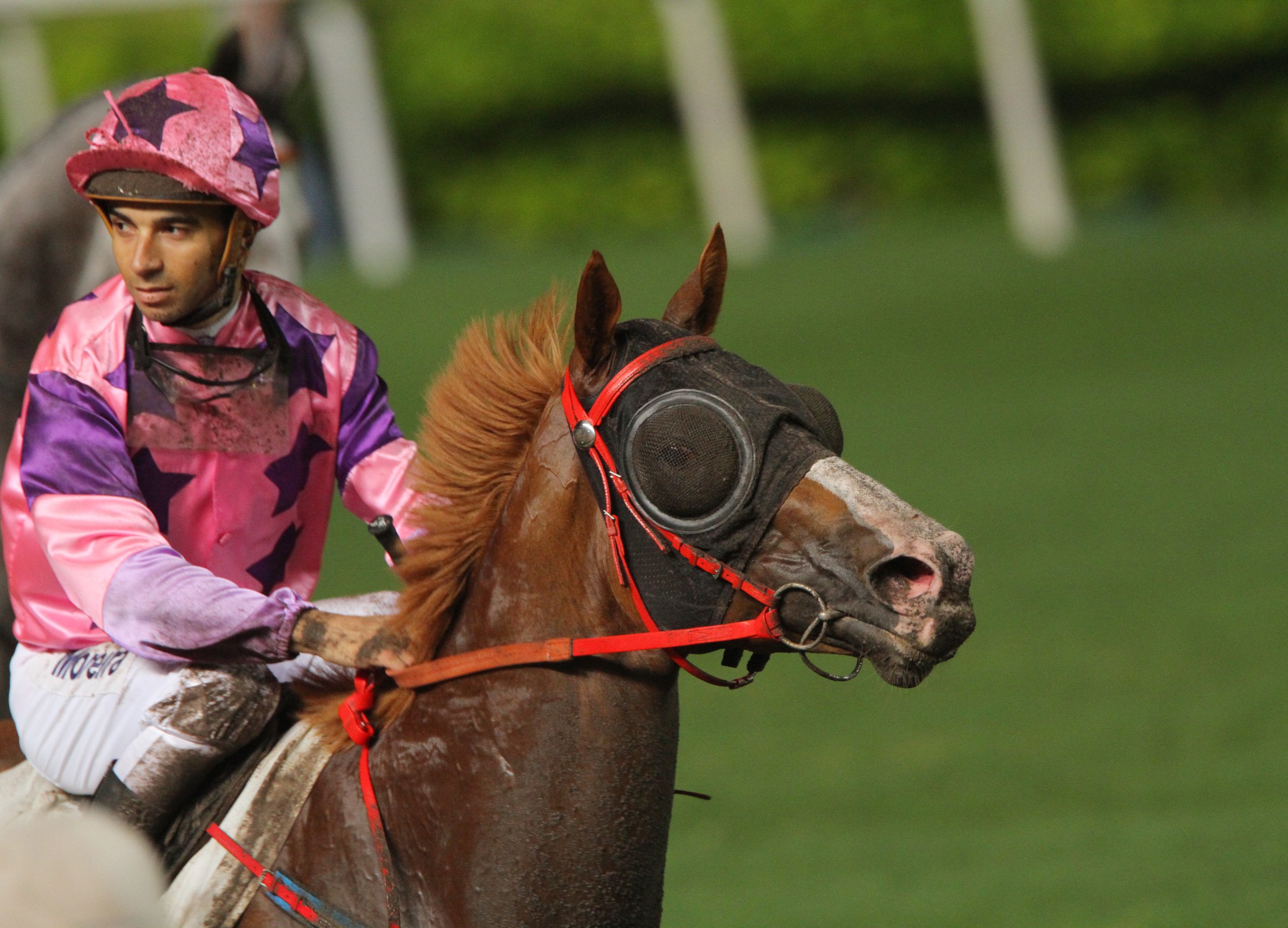 Joao Moreira has elected not to make the long trip to Melbourne. Photos: Kenneth Chan