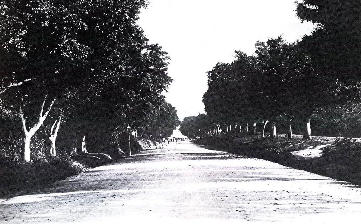 Nathan Road in the 1910s with two lines of trees. Photo: SCMP Pictures
