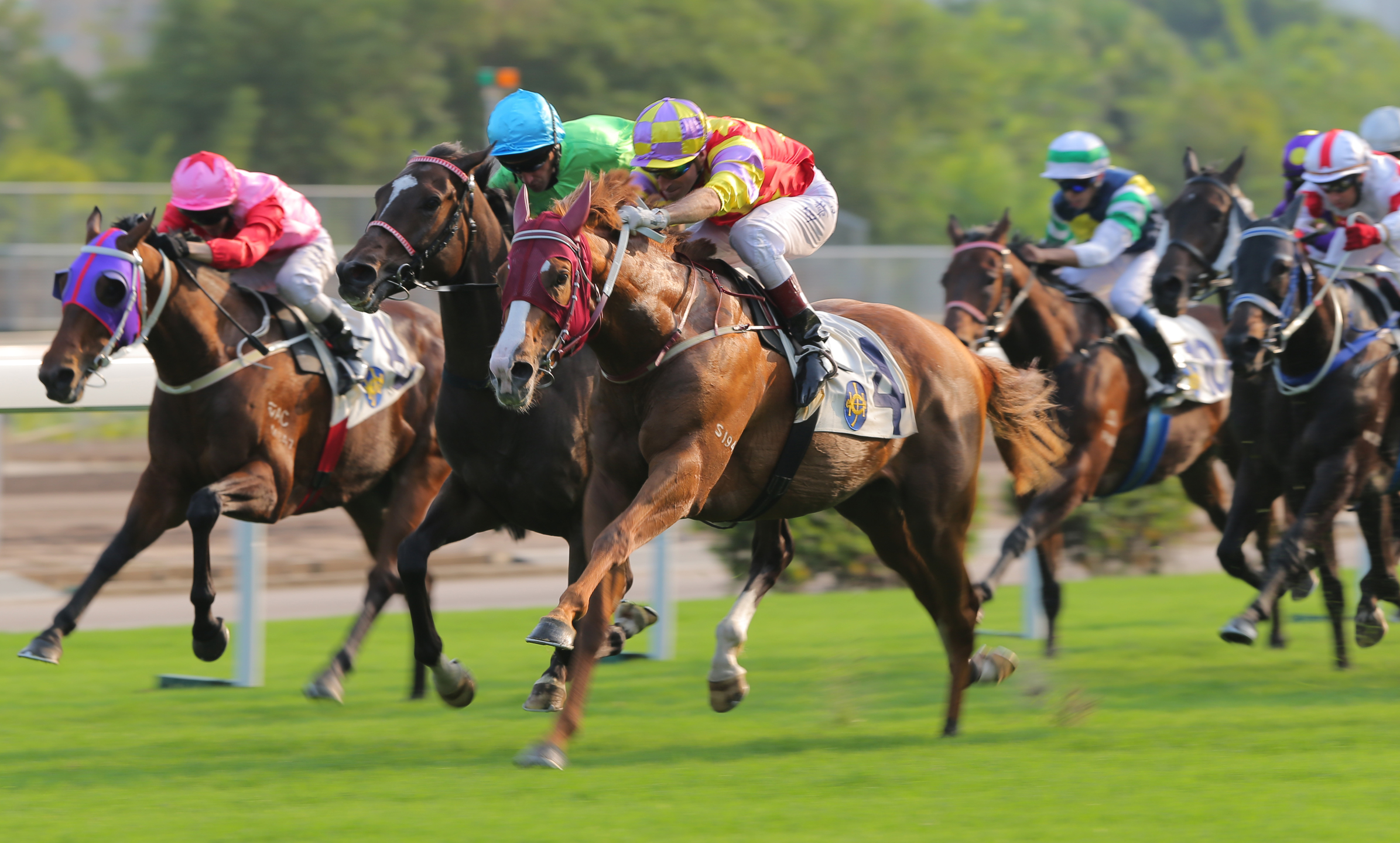 Selkirk Star and Eton Blitz fight out the finish last week. Photo: Kenneth Chan