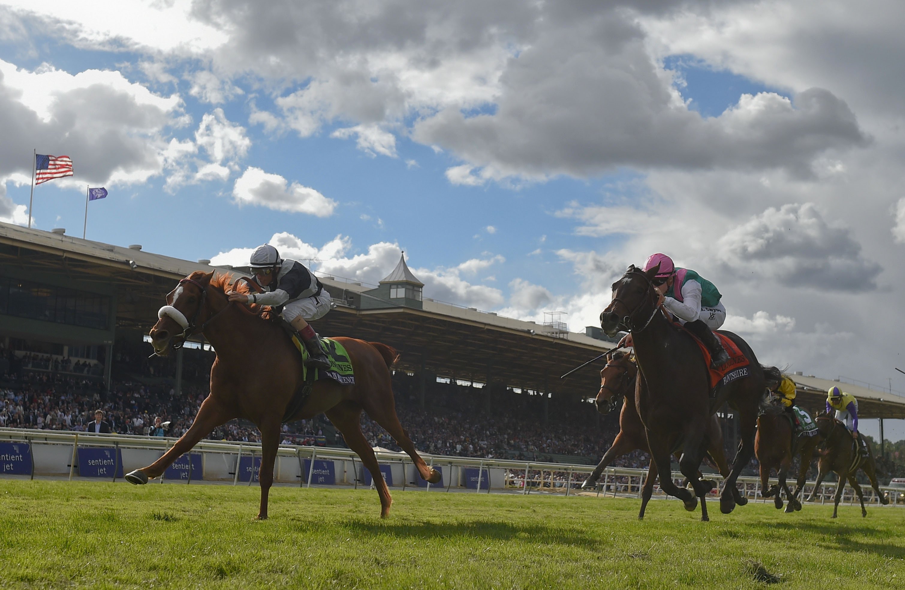 Flintshire (pink cap) finishes second to Main Sequence in the Breeders' Cup Turf earlier this month. Photo: AP/Kenneth Chan