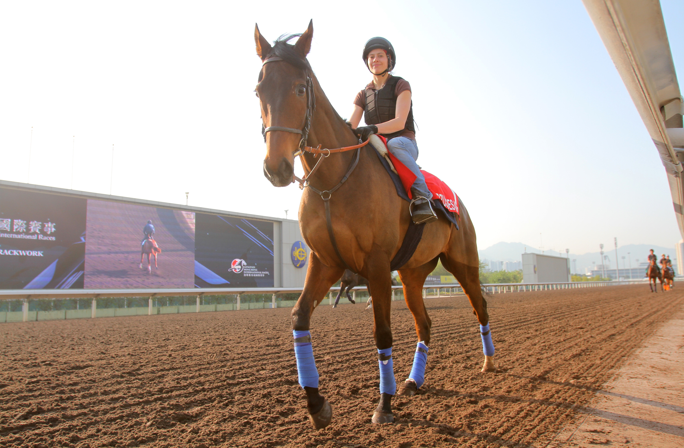 Cirrus des Aigles returns to Sha Tin for the sixth time as he looks to run in the Hong Kong Cup for the fourth time. Photo: Kenneth Chan