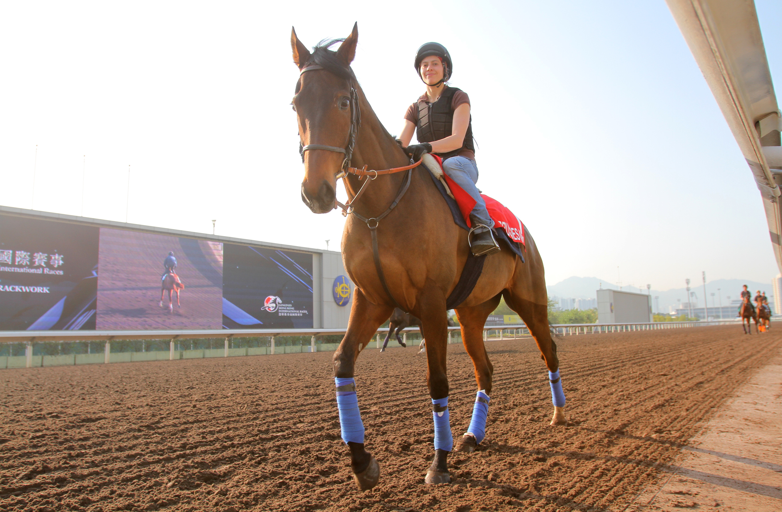 Cirrus Des Aigles returns for another tilt at Hong Kong glory. Photo: Kenneth Chan