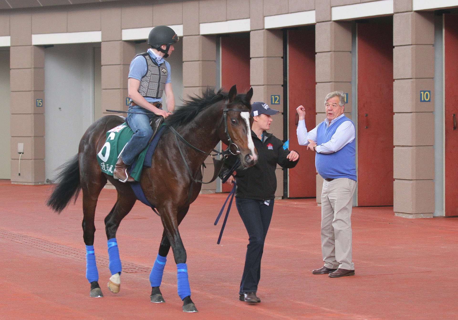 Sir Michael Stoute watches on as his Vase entrant Snow Sky is schooled in the Sha Tin parade ring. Photos: Kenneth Chan