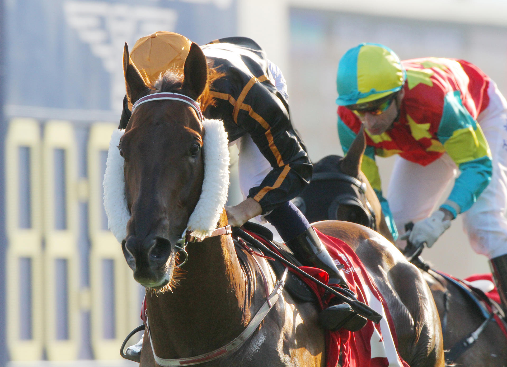 Able Friend (Joao Moreira) cruises home to win the Jockey Club Mile last start. Photo: Kenneth Chan
