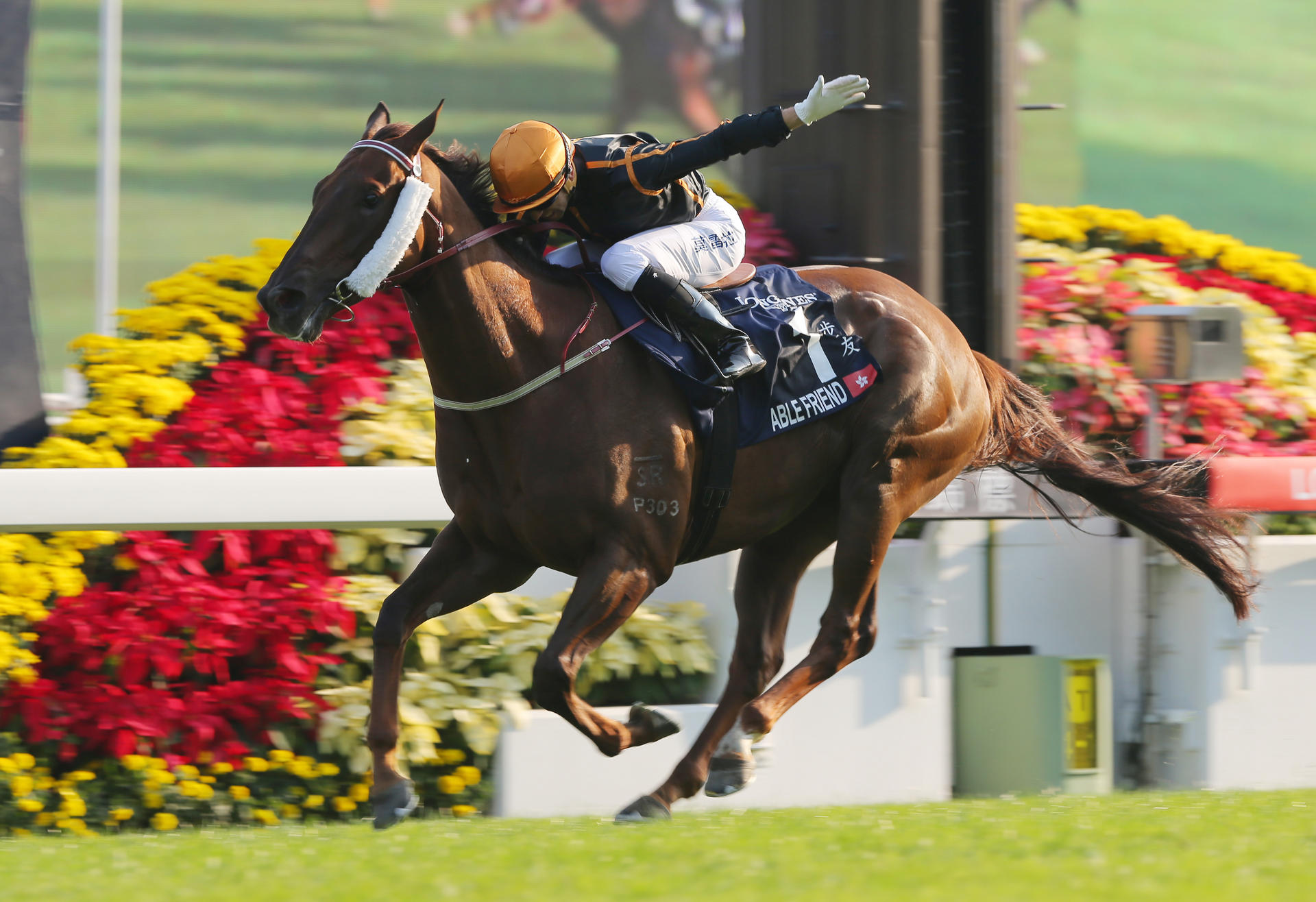 Able Friend destroys the Hong Kong Mile field. Jockey Joao Moreira says the John Moore-trained star is in great shape for Sunday's Stewards' Cup. Photos: Kenneth Chan
