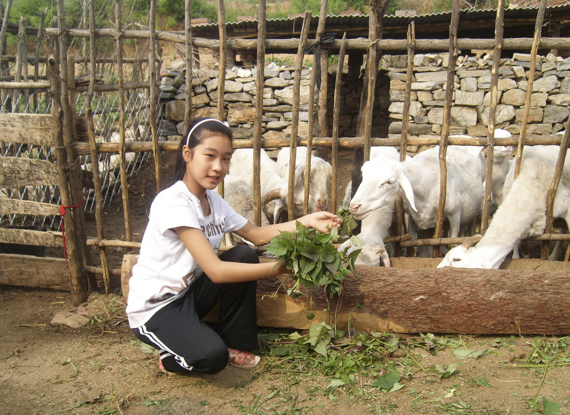 Li Qiang from Hebei can look forward to a brighter future thanks to the goats donated by Heifer International.