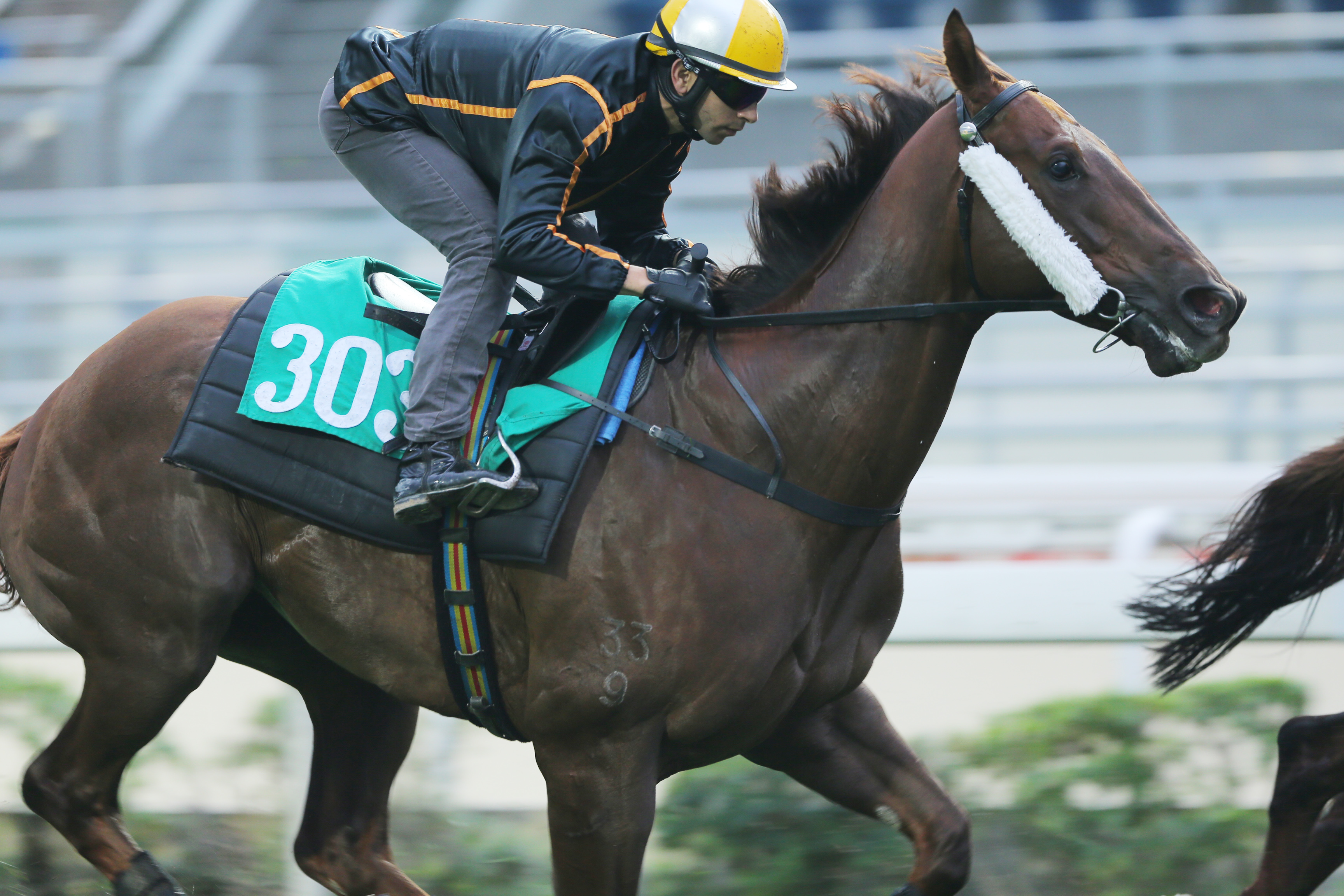 Able Friend has toyed with rivals in his past three starts and the five-year-old is marked as the highest rated horse in the Jockey Club's history. Photos: Kenneth Chan