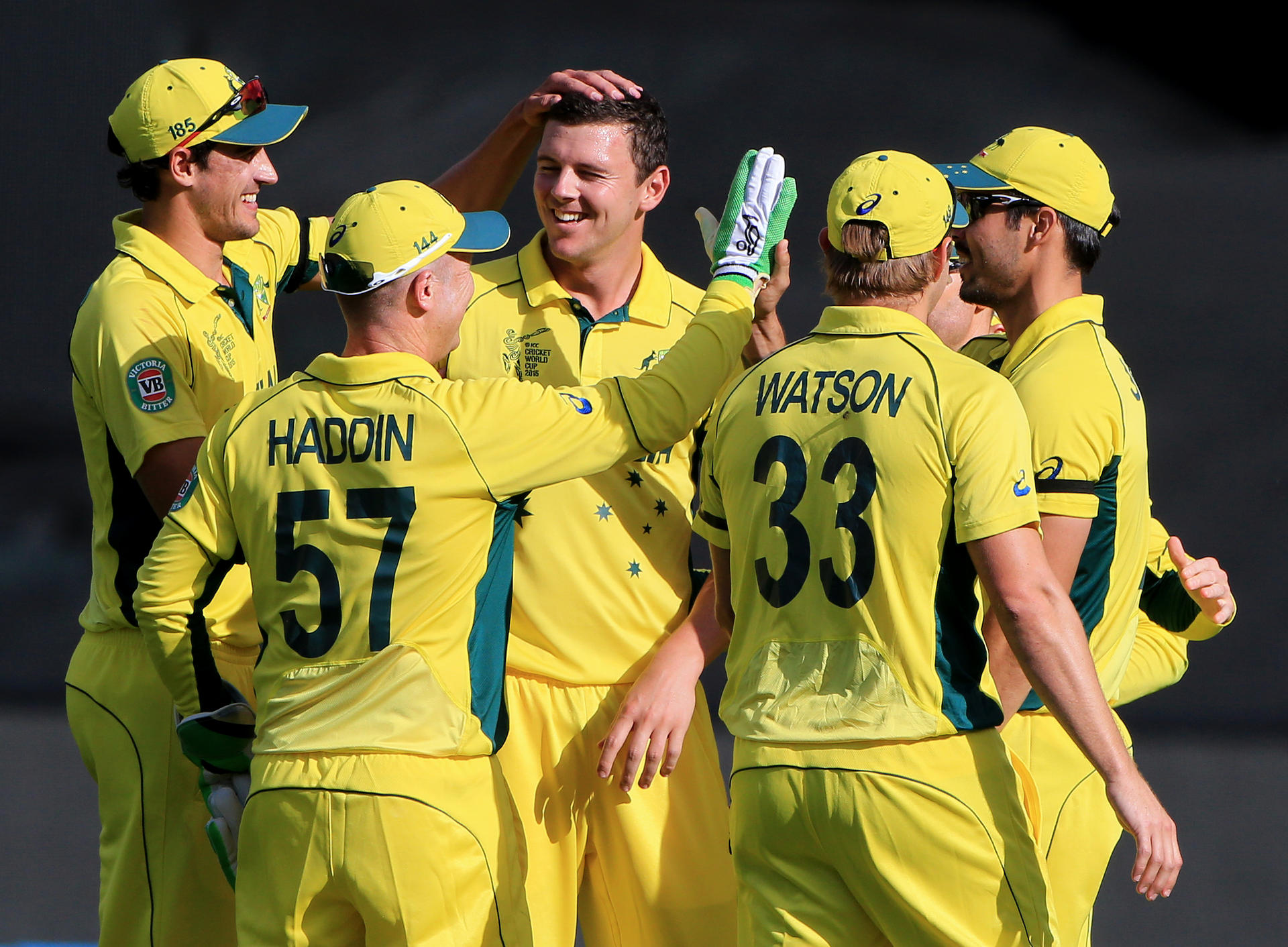 Australia's Josh Hazlewood is congratulated by teammates after taking the wicket of Pakistan's Sohaib Maqsood during their World Cup quarter-final in Adelaide.Photo: AP