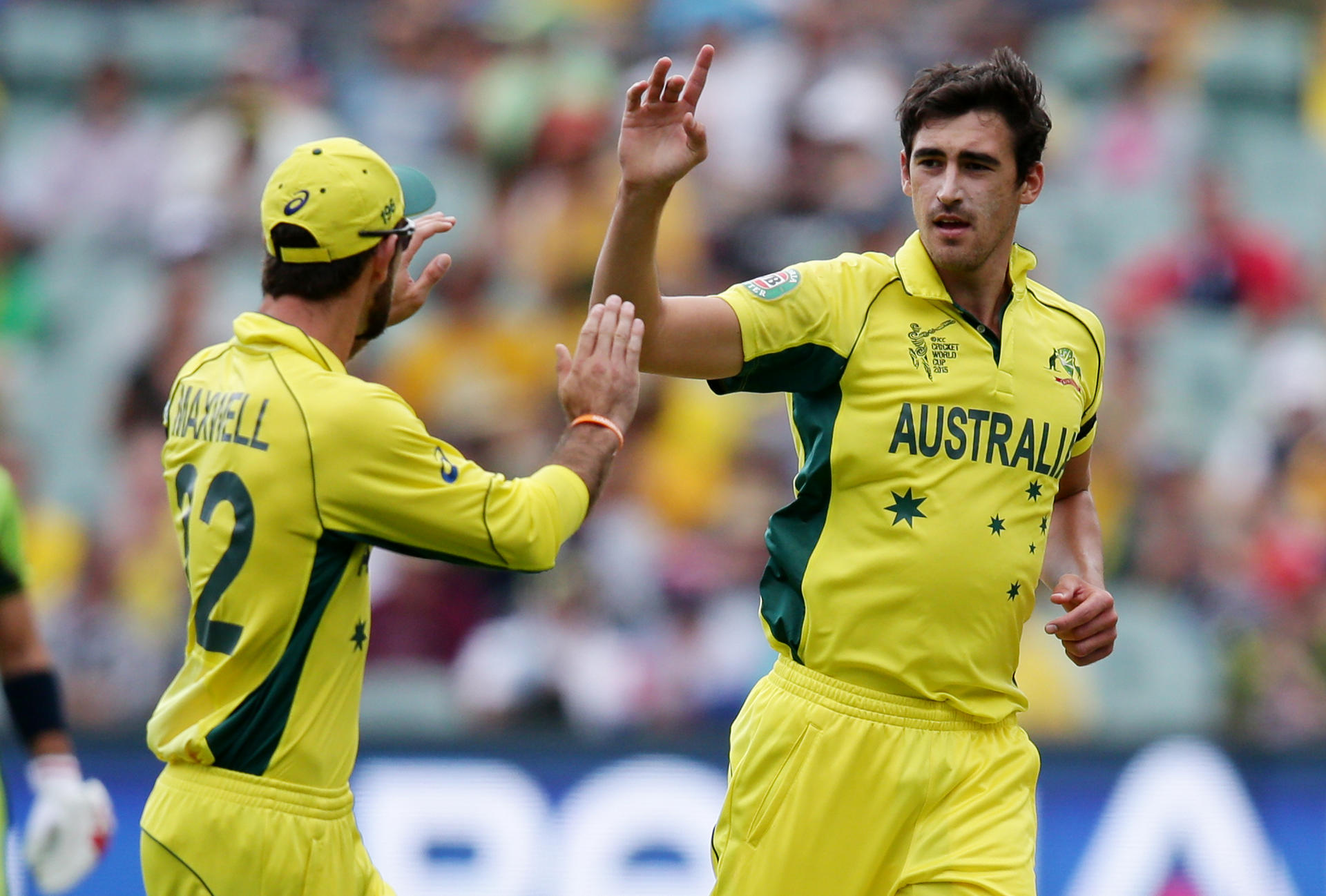 Australian quick Mitchell Starc will want a bouncy track at the Sydney Cricket Ground. Photo: AP