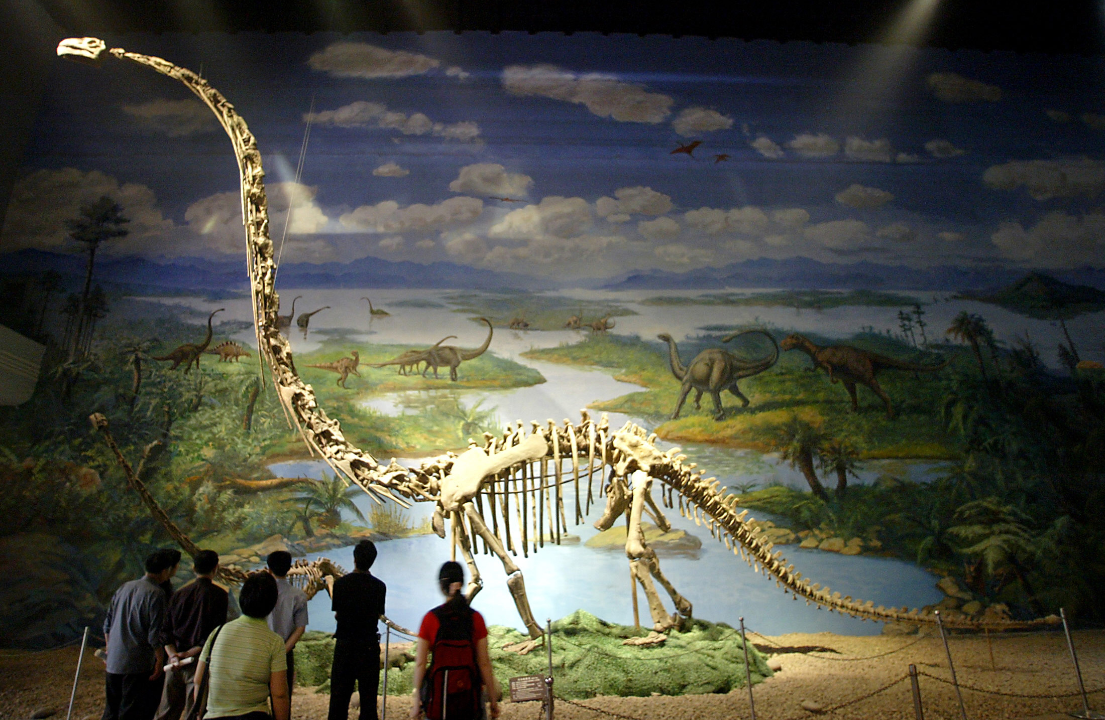 Visitors admire a skeletal replica of the Omeisaurus Tienfuensis, which lived in the middle Jurassic, some 160 million years ago, around the same time as the Euanthus panii flower. Photo: AFP