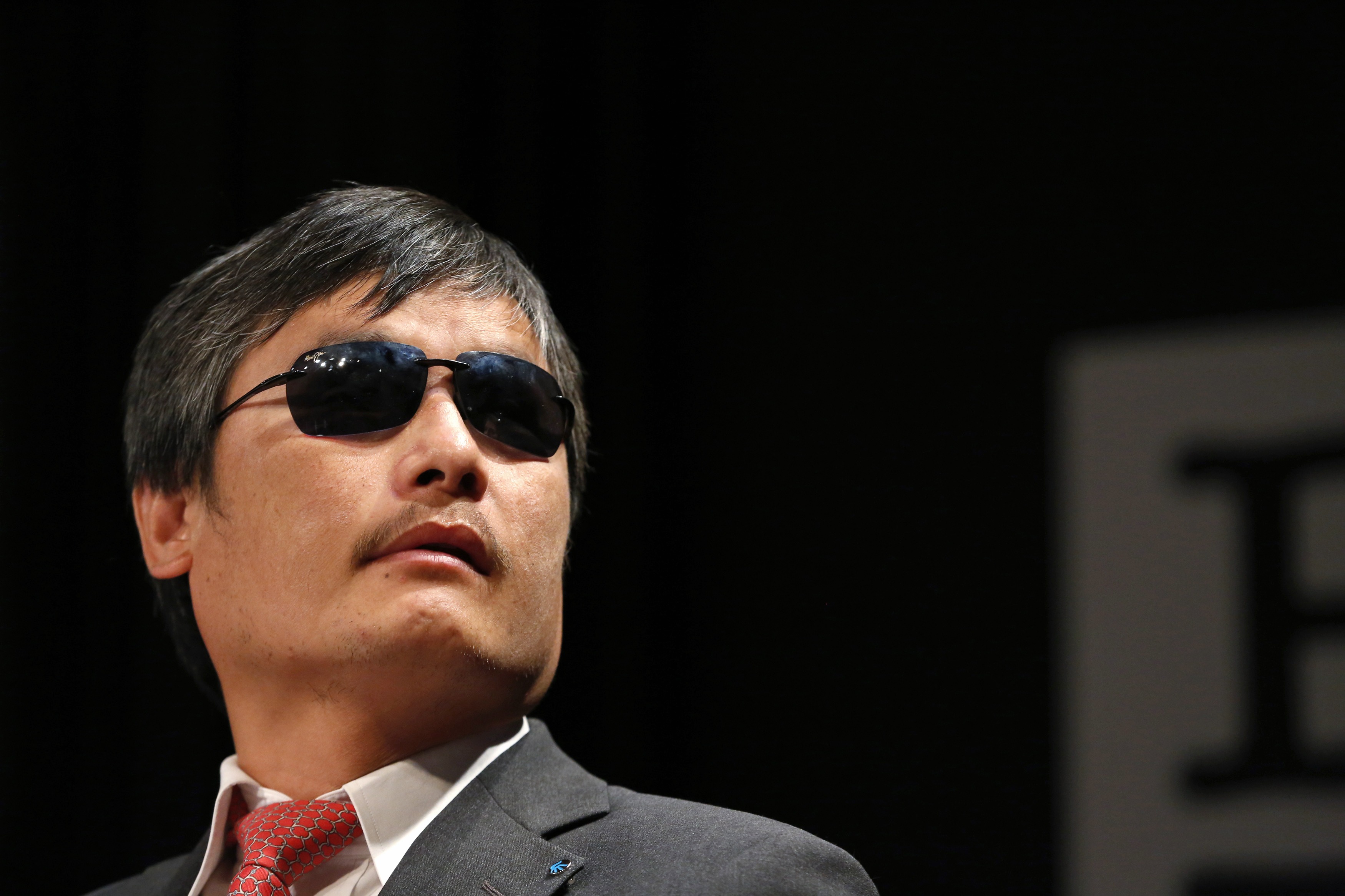 Chen Guangcheng was a member of a group of mostly self-taught individuals providing free or low-cost legal services in China. Photo: Reuters