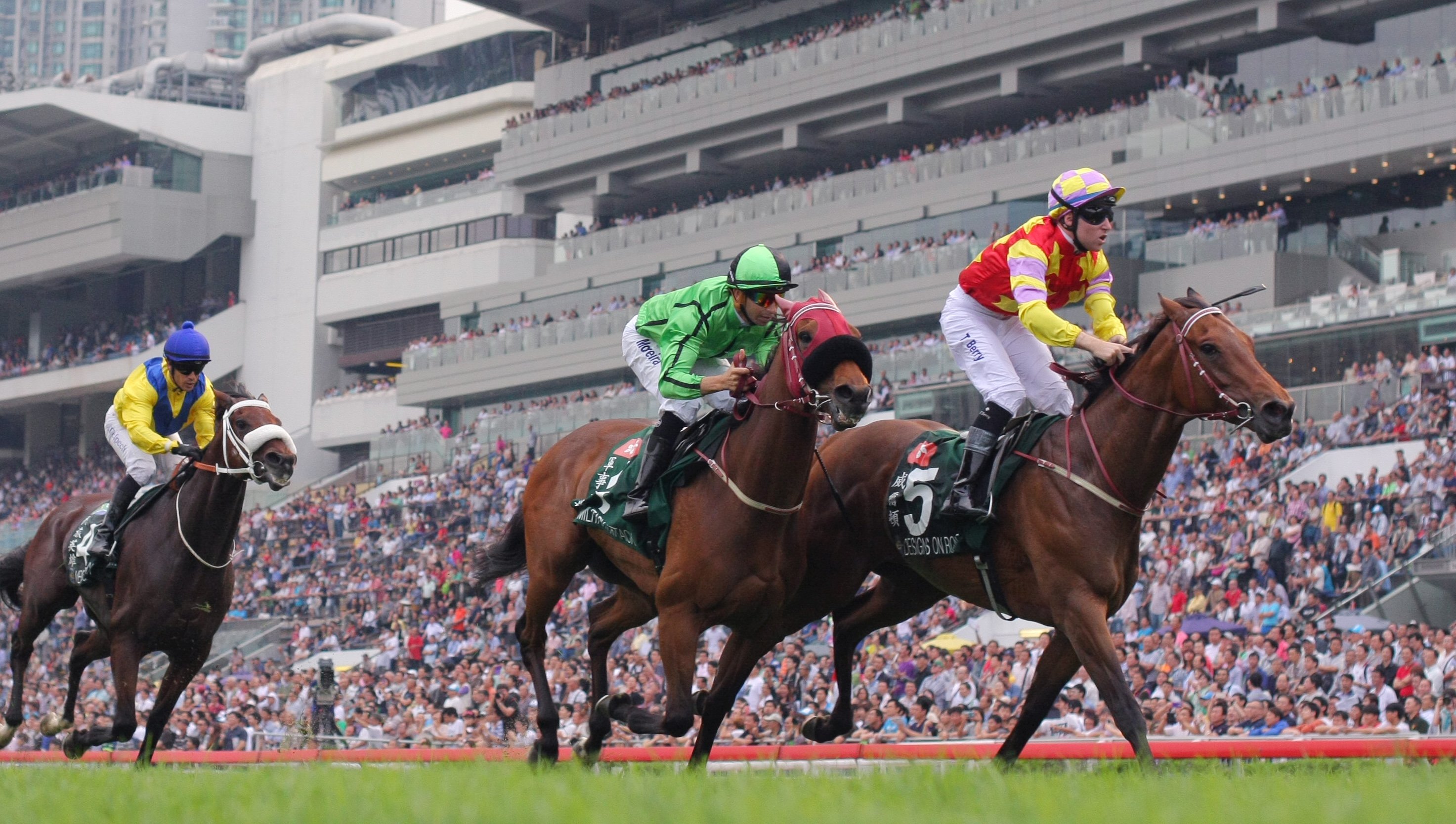 Designs On Rome beats Military Attack to win last year's QE II Cup, with internationals Vercingetorix and Epiphaneia third and fourth. Photo: Kenneth Chan