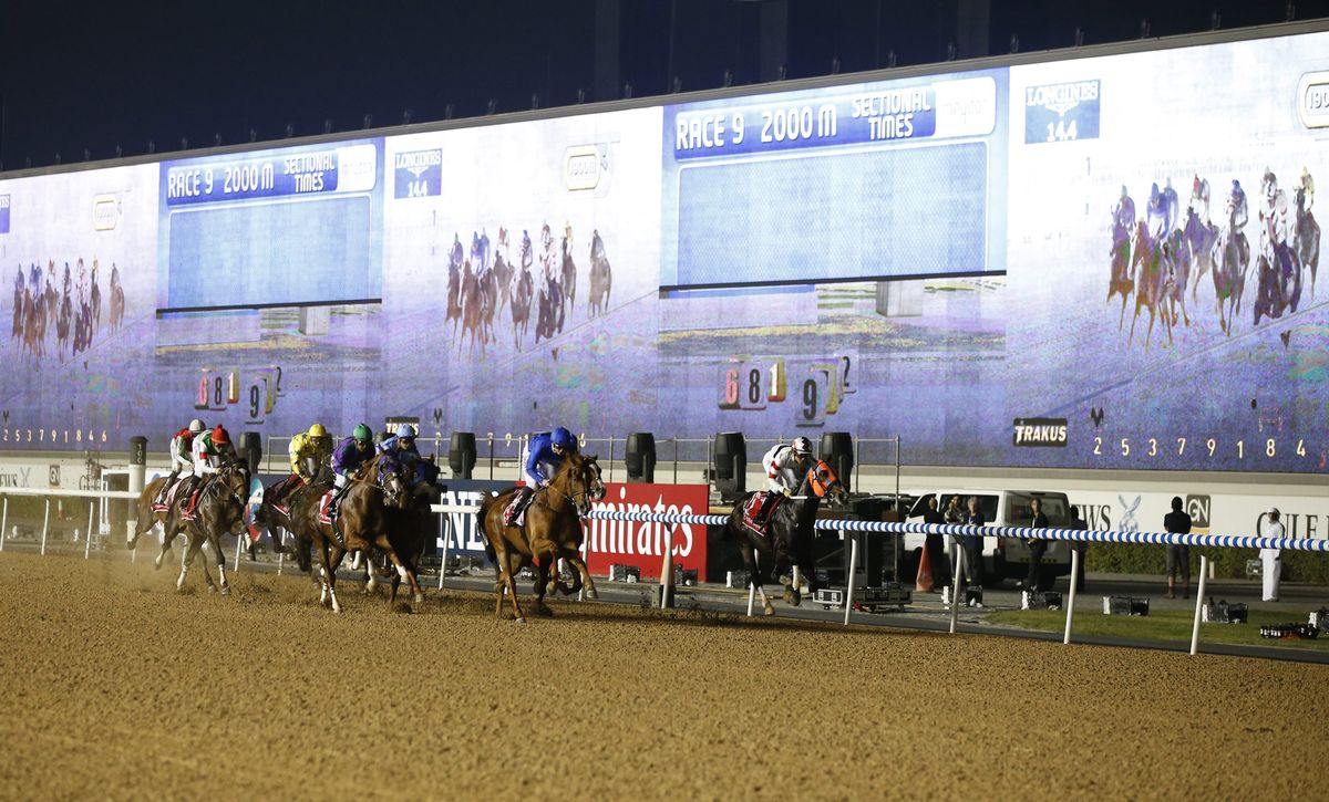 The Dubai World Cup meeting attracts many of the world's leading racehorses. Photo: EPA