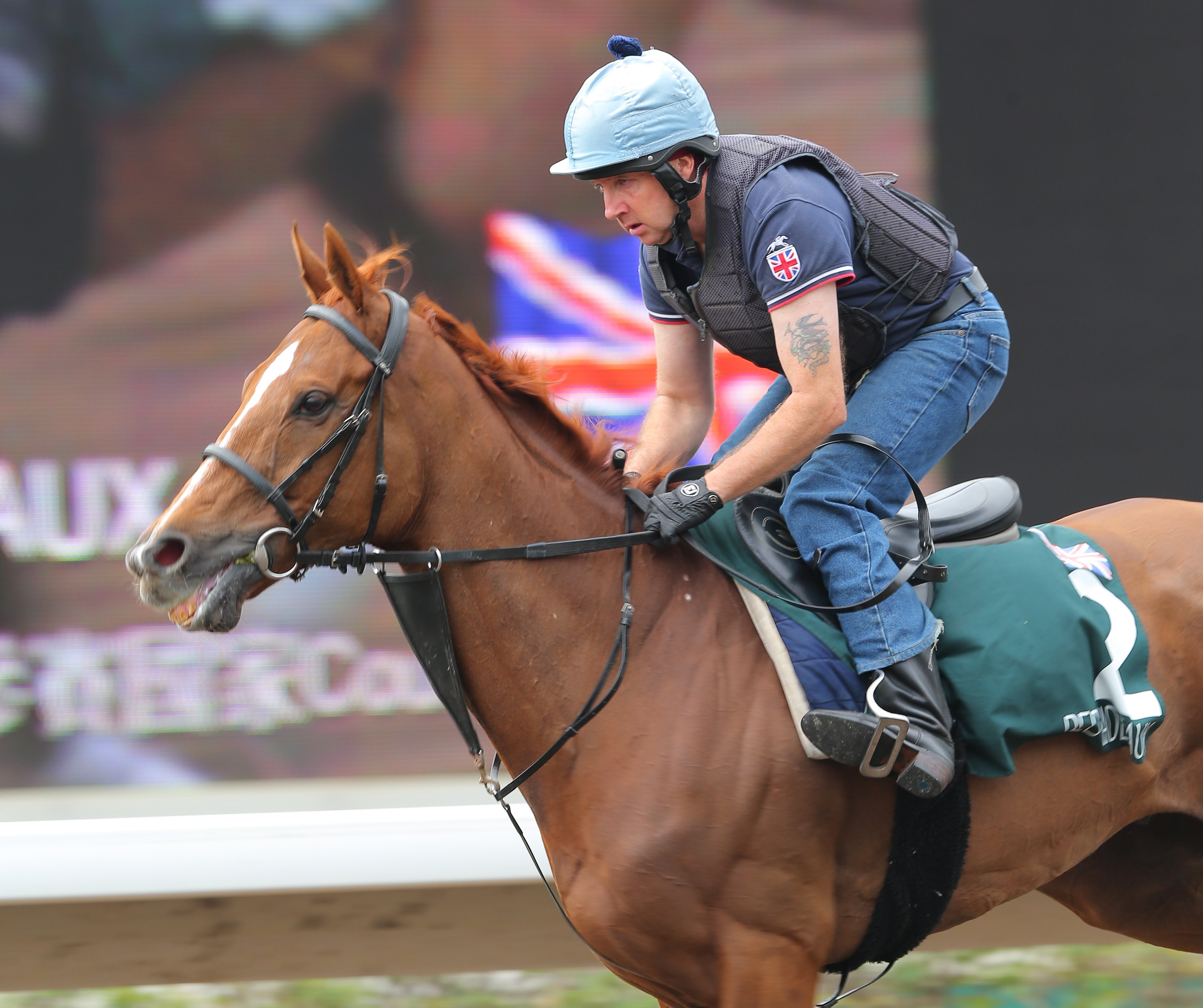 Red Cadeaux has a light workout ahead of Sunday's race. Photos: Kenneth Chan   