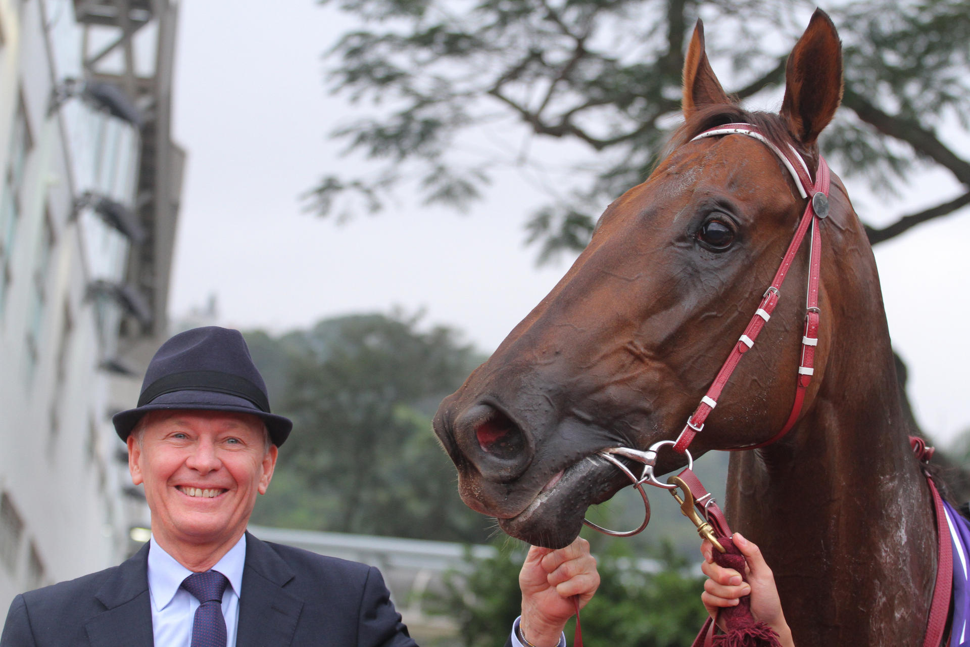 Trainer John Moore says Able Friend is a "gentle giant"and "nothing fazes him". Photos: Kenneth Chan 
